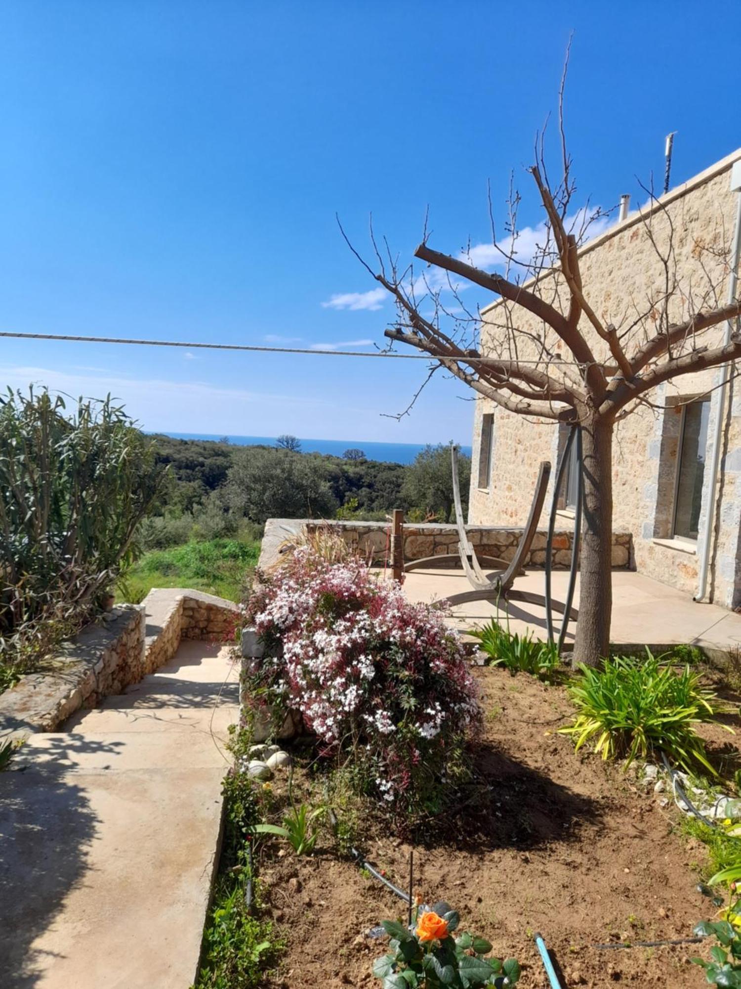 Jenny's Greek Apartament